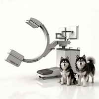 Système d'imagerie 3D à arceau en C vétérinaire, équipement de radiographie mobile CBCT pour cliniques chirurgicales d'animaux de petite et grande taille