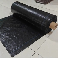 Toile géotextile tissée anti-mauvaises herbes robuste pour le contrôle de l'érosion des fondations de voies d'accès