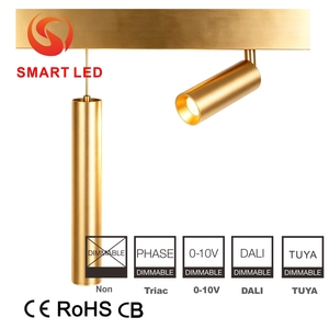 20mm White Black Aluminum Magnetic Rail Tracking Mini LED Track Spot <b>Light</b> 3W-20W DC48V 5-Year Warranty Dimmable Living Room - Product Image 5