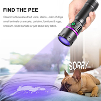 6XHP50 6 XPE lampe violette lampe de poche UV Identification Support pour animaux de compagnie sortie torche gradation non polaire 2 Mode lampe de poche extérieure
