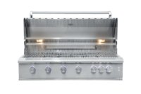 Barbecue encastrable gourmet en acier inoxydable à 6 brûleurs avec rôtissoire intégrée, brûleur arrière et éclairage LED bleu