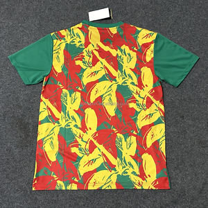 Uniforme de Fútbol de Club Africano Kit de Ropa de Fútbol Copa Selección Nacional Partido de Visitante Camiseta de Jugador Camiseta de Fútbol de Senegal - Product Image 2