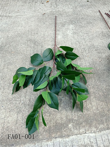 Foglie Artificiali di <span class=keywords><strong>Tea</strong></span> <span class=keywords><strong>Tree</strong></span> Realistiche, Steli di Foglie di Tè Finte per Decorazioni Interne, Ristoranti, Centri Commerciali, Progetti di Inverdimento - Product Image 2
