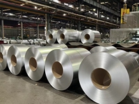 Bobine d'acier galvanisé à chaud au zinc, aluminium et magnésium, tôle ZAM, acier revêtu Super Dyma SD pour bâtiments agricoles et systèmes d'irrigation