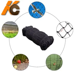 Fábrica!!! HDPE preto 3/4 "buraco Malha Anti-Bird agricultura net /Plastic Mesh Trapping Garden Netting