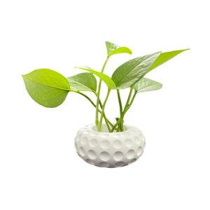 Manufacturers Wholesale White Handmade Diy Gypsum Flowerpot Crafts 500g/1000g Fast Curing Resin Eco <b>Casting</b> <b>Powder</b> - Product Image 5