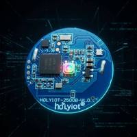 Baliza de Marketing Antipérdida con Bluetooth, Ubicación en Interiores Programable, iBeacon con Sensor de Acelerómetro y Botón de Emergencia