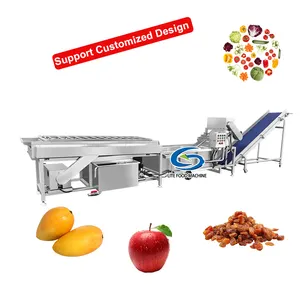 Lite fiyat otomatik meyve elma temizleme üretim hattı Mango çamaşır sıralama makinesi