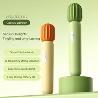 Nouveaux vibrateurs féminins à 12 fréquences de vibration, aspect cactus, en silicone, rechargeables par USB, 100% étanches, réalistes
