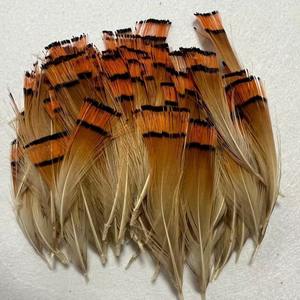 Vente en gros de plumes Offre Spéciale plumes de tête de faisan doré naturel pour la pêche à la mouche montage de mouches - Product Image 4