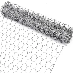 Galvanized Iron Wire Fence Small Hole Hexagonal Wire Mesh For Chicken Coop