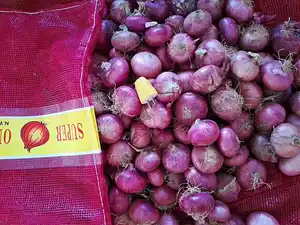2023 tanaman baru merek Sinofarm bawang merah segar dan Bawang kuning harga putih per ton di Tiongkok dari eksportir Biji bawang