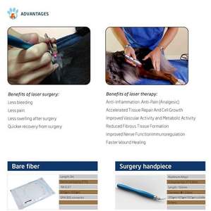 Peralatan terapi bedah <span class=keywords><strong>Laser</strong></span> dokter hewan, instrumen terapi <span class=keywords><strong>Laser</strong></span> semikonduktor hewan - Product Image 4