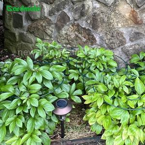 Lot de 3 supports de <span class=keywords><strong>plantes</strong></span> ronds modernes <span class=keywords><strong>pour</strong></span> fleurs, pivoines, roses, lys, <span class=keywords><strong>plantes</strong></span> d'intérieur et d'extérieur, anneaux de soutien - Product Image 3