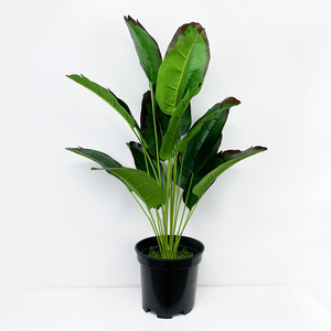 Plante artificielle en feuilles de bananier, 75 cm de haut, simulation réaliste, décoration intérieure, maison, hôtel, verdure - Product Image 1