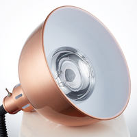 Lampe chauffante pour buffet commercial Gehong ABC-003 pour hôtel et restaurant, 250W, abat-jour infrarouge, contrôle automatique de la température