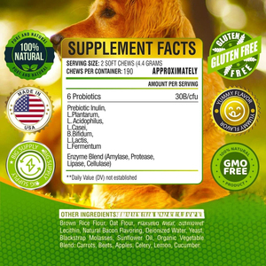 OEM-Probióticos naturales avanzados para perros con prebióticos y calabaza para perros Diarrea ocasional y soporte intestinal - Product Image 5