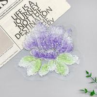 Lot de Broderies en Dentelle 3D Florales Perlées et Pailletées, Appliques de Broderie, Patchs de Fleurs en Dentelle pour Robe de Soirée, Robe de Mariée, Vêtement