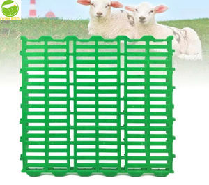 Plancher à lattes en plastique 1000*500*42mm pour l'élevage de moutons de chèvre <span class=keywords><strong>Prix</strong></span> de gros Plancher à lattes en plastique pour l'élevage de moutons de chèvre - Product Image 1