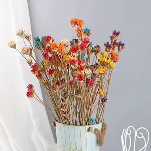 Toptan kurutulmuş antep fıstığı çiçek, antepfıstıkları çiçek, el yapımı antep fıstığı çiçek ev dekorasyon veya çiçek düzenleme