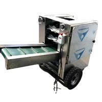 Hete verkoop, hoogproductieve fruitpelschilmachine 220V/380V voor fruitverwerking