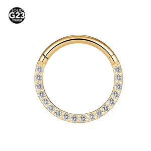 Clover Jewelry G23 Titanium CZ Hinged Segment Rings Cartilage Clicker Nose Ring Piercing Jewelry - Product Image 5