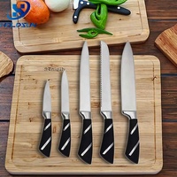 Ensemble de couteaux de cuisine en acier inoxydable de 5 pièces, ligne royale, logo personnalisé, extra-affûtés, avec manche creux recouvert de caoutchouc