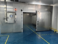 Machine de décongélation à basse température et haute humidité adaptée aux entreprises de transformation profonde de viande congelée