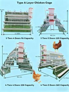 Sistema de Jaulas para Gallinas Ponedoras, Jaula Galvanizada para Cría de Aves de Corral, Tipo A/H, Jaula para Gallinas Ponedoras, Jaula para Pollos en Venta - Product Image 5
