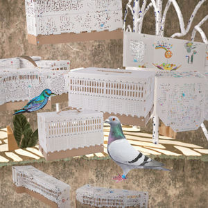 Güvercin aksesuarları plastik tepsi ile nefes plastik katlanabilir güvercin kafesi-kuşlar için taşınabilir eğitim kafesi kapalı kullanı<span class=keywords><strong>m</strong></span> - Product Image 3