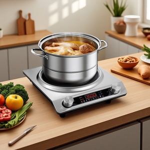 Cuisinière à induction simple professionnelle de haute qualité, boîtier en acier inoxydable, 3500W, commande tactile, design concave, pour comptoir domestique - Product Image 3