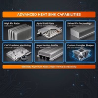 Plaque de refroidissement liquide personnalisée en aluminium extrudé pour module informatique IA