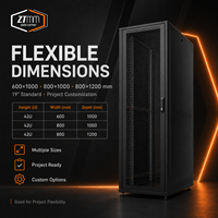Baie de serveur ZTmm 42U avec rails réglables, montage PDU et porte en maille