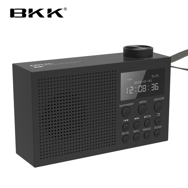 Wireless Portable DAB Radio With Bluetooth FM Player Supports Handsfree Time Display Microphone Function