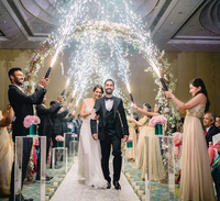 Système de tir de feux d'artifice froids portatif pour mariage et fête d'anniversaire - Offre Spéciale