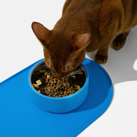 Maßgefertigter Umweltfreundlicher Auslaufsicherer Rutschfester Edelstahl Dual-Funktion Haustier Katze Hund Futter- und Wasserspender 2 Schüsseln Silikon Leckmatte