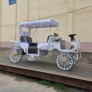 Calèche électrique personnalisable blanche de type Victoria, électrique/à chevaux, capacité de 6 personnes pour des excursions confortables - Product Image 6
