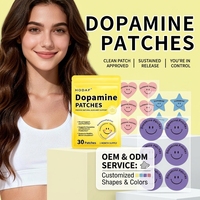 Patch Transdermal Premium Private Label untuk Fokus & Dukungan Suasana Hati dengan Lions Mane, 5-HTP, B12, dan Rhodiola