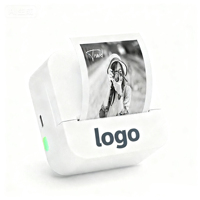 Imprimante thermique portable LUCK JINGLE D1 Mini pour cadeaux de Noël, autocollants photo rétro, étiquettes en stock, support personnalisé CE