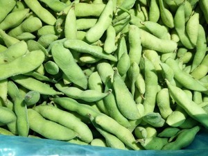 Fournisseur chinois <span class=keywords><strong>de</strong></span> légumes surgelés IQF pas chers, marques d'edamame vertes - Product Image 2