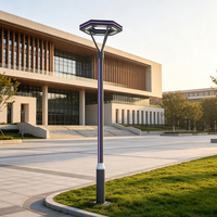 Lumière de jardin LED à puissance personnalisée, design hexagonal en aluminium, éclairage paysager pour entrepreneur en travaux publics