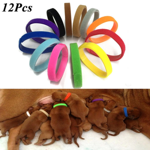 Stock superventas 12 colores ajustable cachorro ID bandas collares - Product Image 1