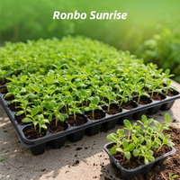 Plateau de semis en polystyrène PS à 72 alvéoles profondes, format 1020 55mm, pour tomates, fraises, géraniums - Vente en gros