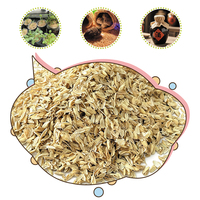Coques de riz de haute qualité pour le rembourrage de coussins, particules de coques de riz beiges pour la fermentation, les coques de riz peuvent ajuster le pH du sol
