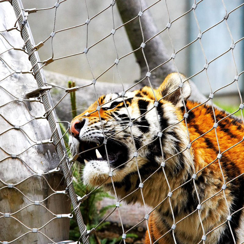 Zoo fence stainless steel rope mesh