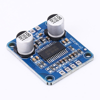 DY-AP3001 10W/20W/30W Mono Module Amplificateur De Puissance Classe D