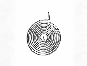 คุณรู้มากแค่ไหนเกี่ยวกับข้อได้เปรียบที่เป็นเอกลักษณ์ของแฮสเทลลอย C22คอยส์? - Product Image 2