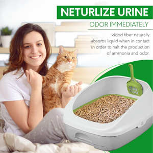 Sable de litière pour chat naturel en bois de pin biodégradable et durable avec effet agglutinant de maïs zéolite au charbon actif - Product Image 4