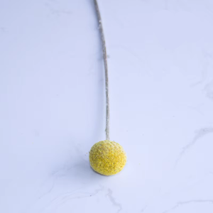 Mini Flor de bola de 1cm, flor <span class=keywords><strong>feliz</strong></span> de piña seca Natural para Arreglo de decoración del hogar para Navidad y Día DE <span class=keywords><strong>LA</strong></span> Madre - Product Image 6