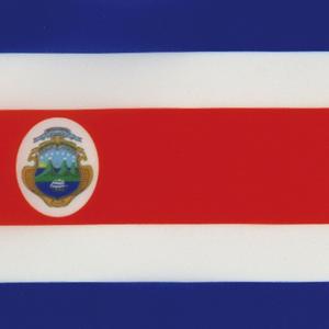 Bandera de <span class=keywords><strong>Costa</strong></span> Rica para Exteriores, Material de Lino de Alta Calidad, 12*18 Pulgadas, Más Estilos para Elegir - Product Image 4